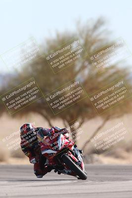 media/Jan-10-2026-Race Pace (Sat) [[3e4fee349c]]/2-Verified/Session 2 (Turn 4 Tree of Life)/